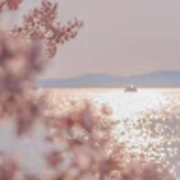 Meet your Posher, Celine - Picture 1 of 1